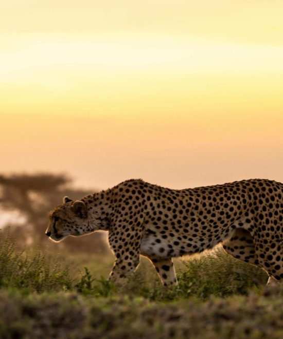 Top 10 Best Places to Visit In Kenya
