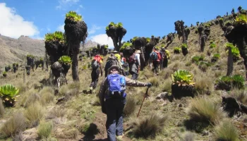 Climb Mount Kenya Peaks