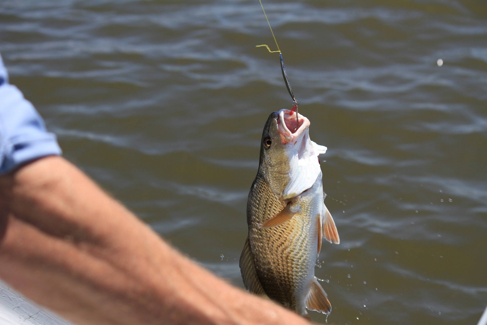 Fishing Tours In Kenya