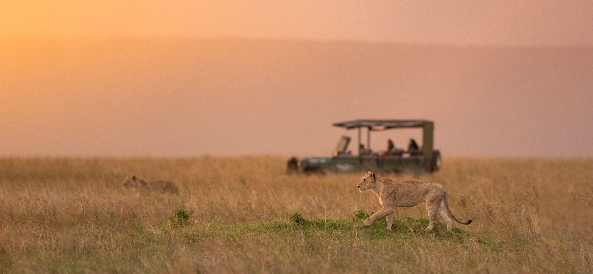 Kenya Luxury Safaris