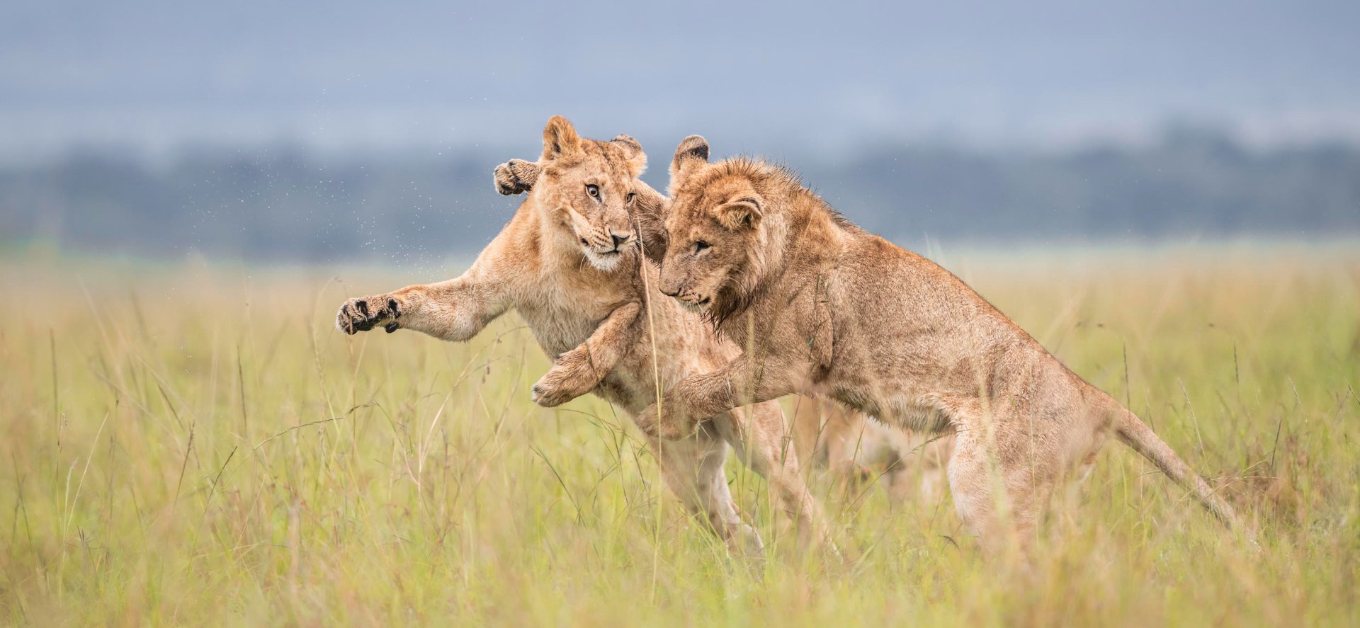Kenya Safari Packages