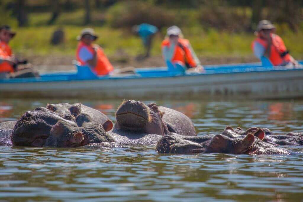 Lake Naivasha Boat Trips
