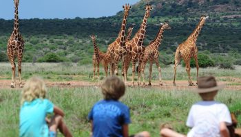 Walking Safaris In Kenya