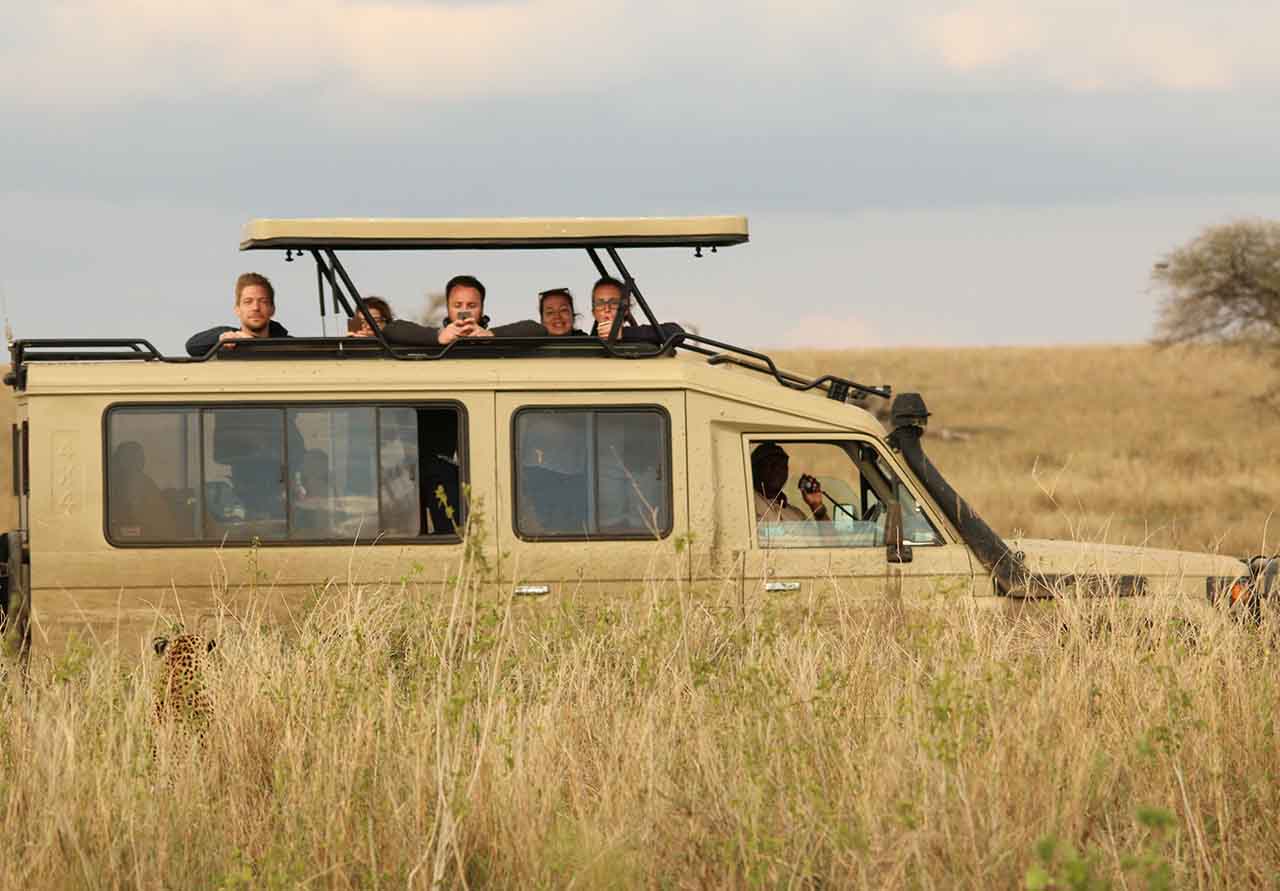 Kenya Safari and Beach Holiday