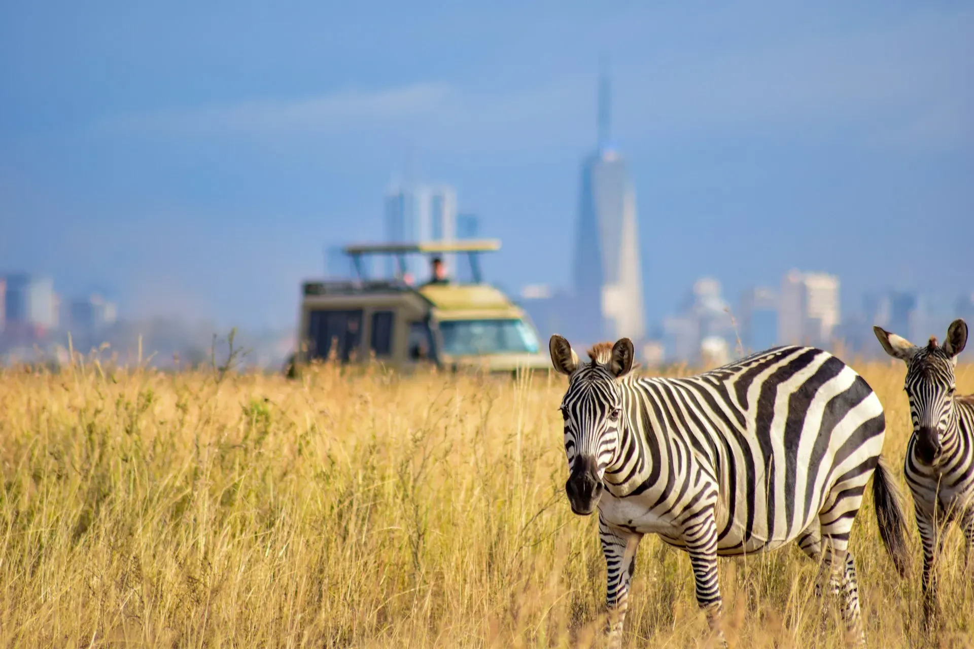 Nairobi City Safari