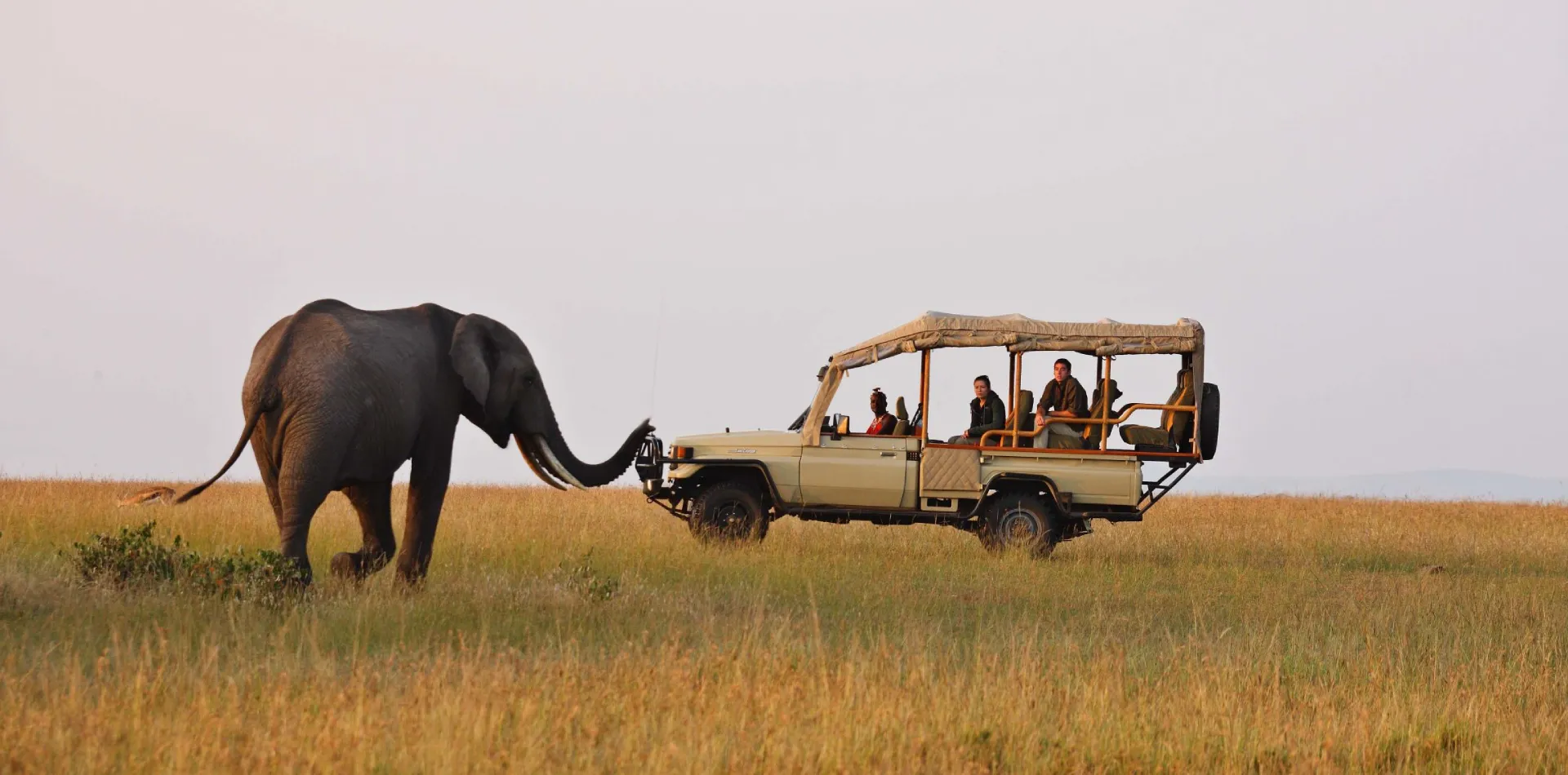 best kenya safari tours
