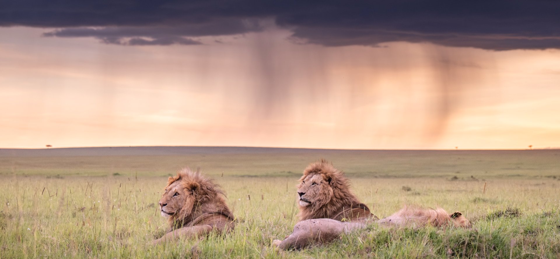 masai mara safari 3 days