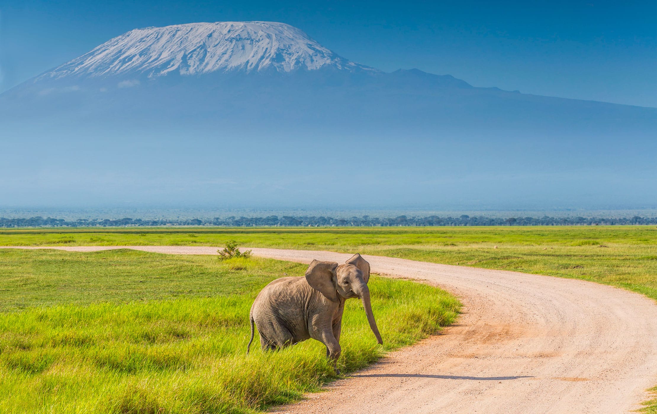 1-Day Amboseli Safari Package