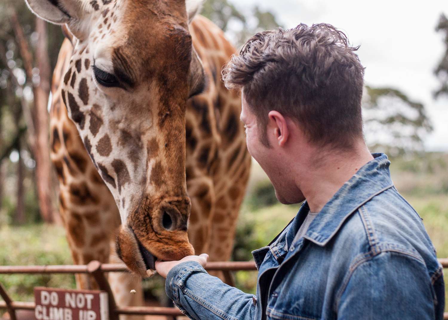 Visiting Giraffe Centre In Nairobi